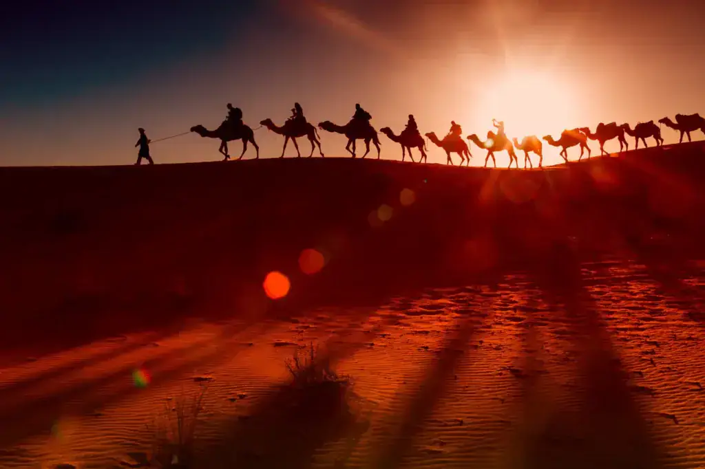 Caravane de chameaux
