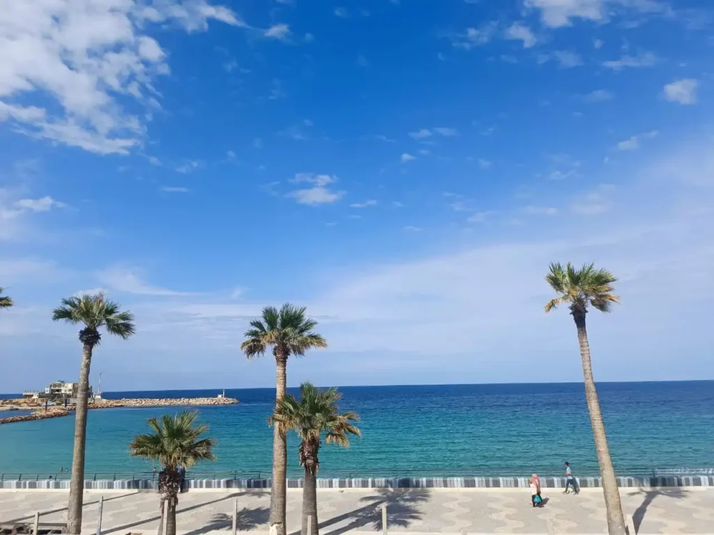 Blick auf Monastir